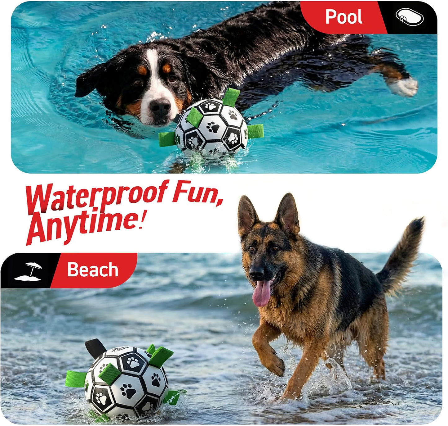 Outdoor dog soccer ball toy for backyard fetch and exercise