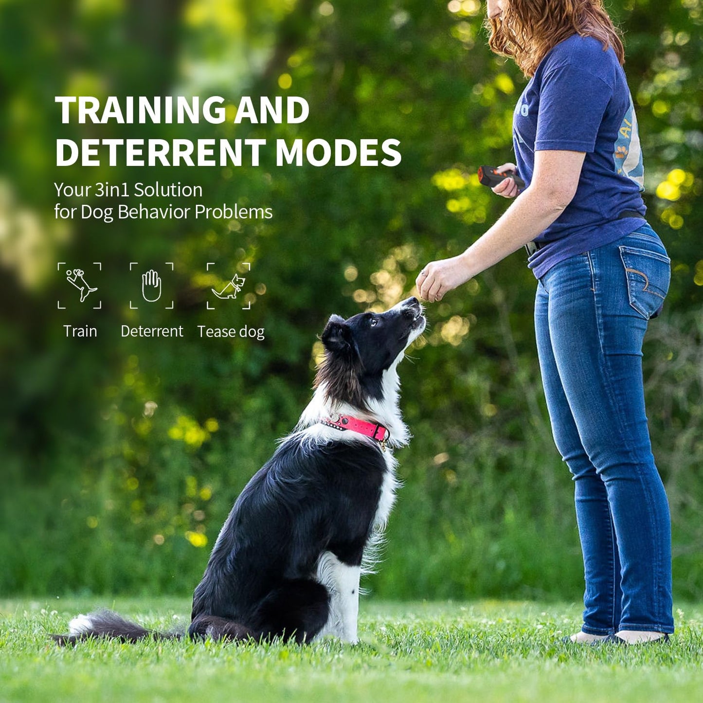 Ultrasonic dog training device for supporting consistent bark-control routines