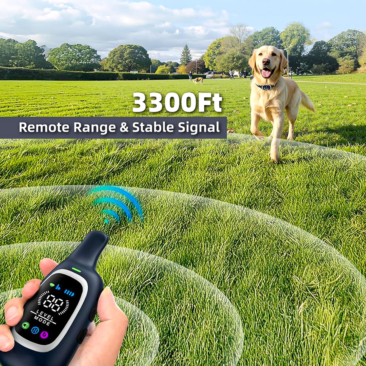 Train with Confidence: 2-in-1 Dog Shock & Bark Collar