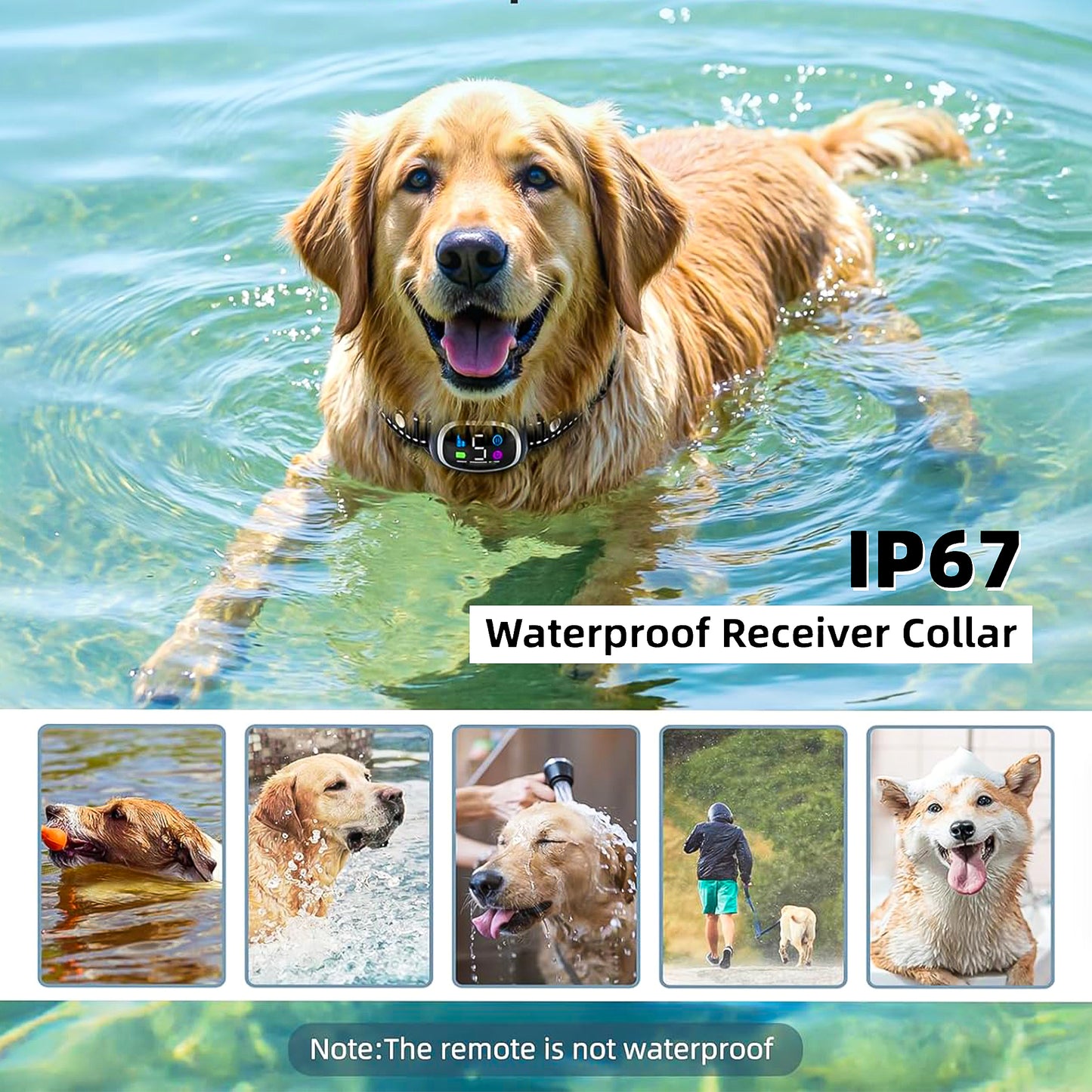 Train with Confidence: 2-in-1 Dog Shock & Bark Collar