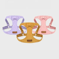 Reflective Dog Harness for Puppies & Small Dogs – 360° Surround Light Chest Strap with Soft Skin-Friendly Design, Adjustable Walking Harness & Traction Rope