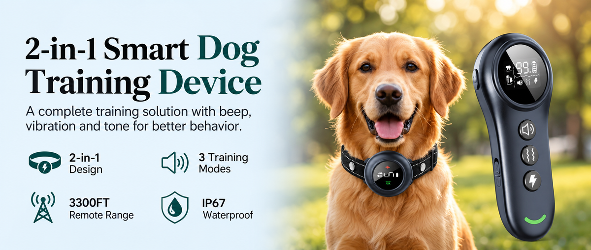 Golden Retriever wearing a black remote dog training collar outdoors, displayed alongside a handheld controller with beep and vibration modes, 3300FT range and IP67 waterproof rating.