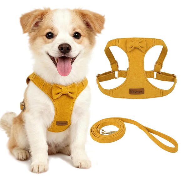 Reflective Dog Harness for Puppies & Small Dogs – 360° Surround Light Chest Strap with Soft Skin-Friendly Design, Adjustable Walking Harness & Traction Rope