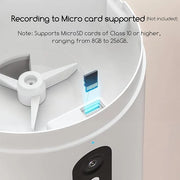 3L smart cat feeder with automatic food dispensing function