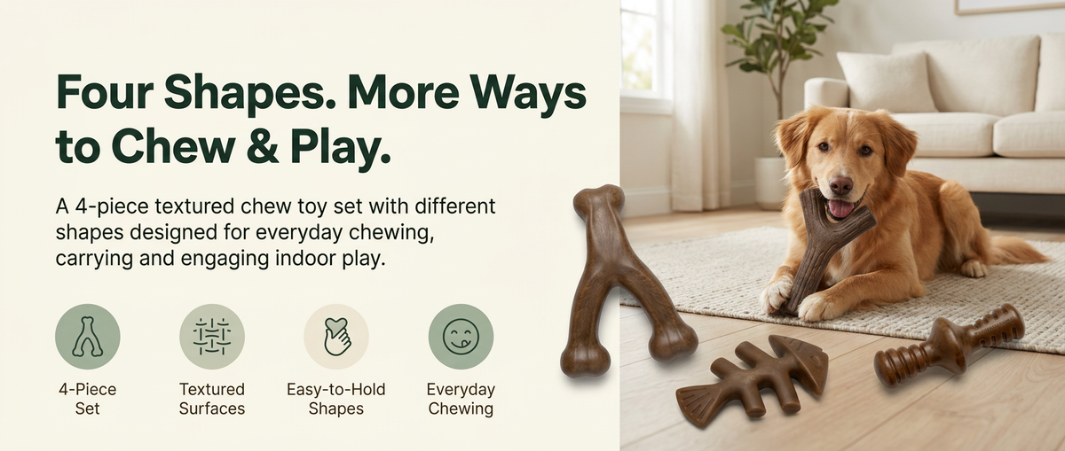 Four brown textured dog chew toys in wishbone, fishbone, branch and ridged shapes beside a dog in a modern home
