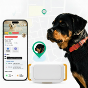 Dog GPS tracking collar with supported 4G mobile network connectivity