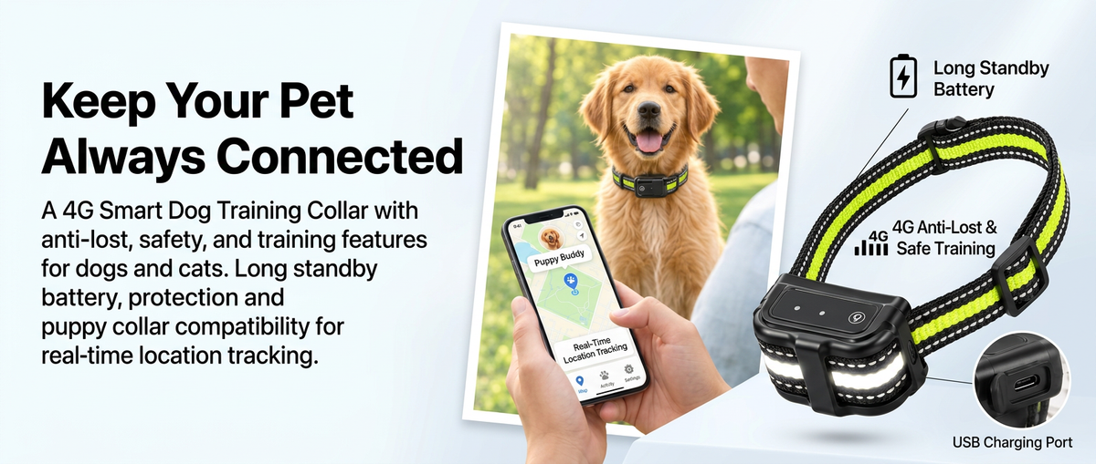 4G dog training collar with long standby battery, USB charging and connected location features for outdoor pet use