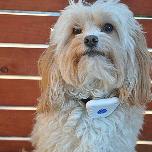 Anti Barking Device for Dogs – Safe Ultrasonic No Shock Bark Control Collar with Pet Training System for Indoor & Outdoor Use