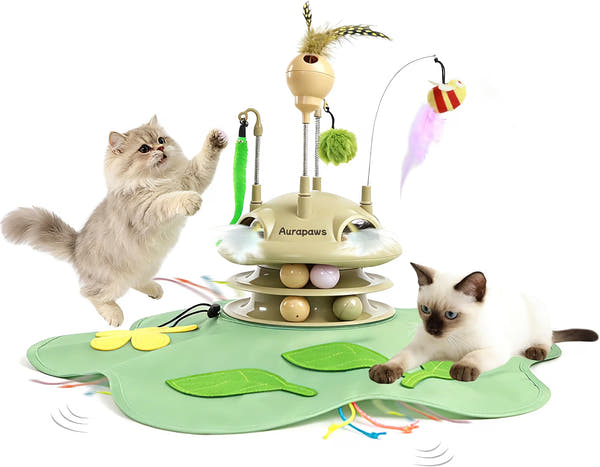 6-in-1 rechargeable automatic interactive cat toy for indoor cats and kittens