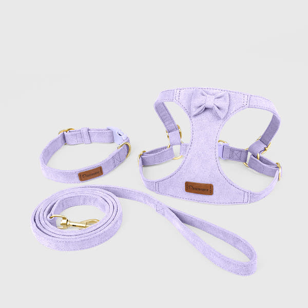 Reflective Dog Harness for Puppies & Small Dogs – 360° Surround Light Chest Strap with Soft Skin-Friendly Design, Adjustable Walking Harness & Traction Rope