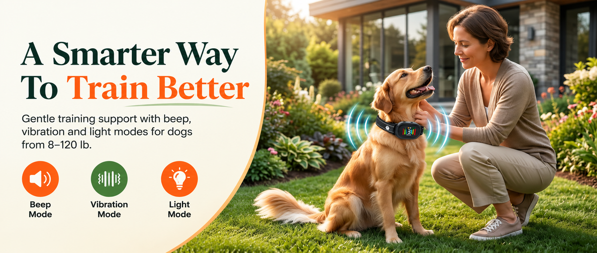 A woman crouches beside a golden retriever on a grassy lawn, wearing a smart dog training collar that shows active training modes. The left side features a large beige graphic panel with the text 'A Smarter Way To Train Better' and icons for beep mode, vibration mode, and light mode.

