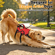 Adjustable training harness designed for large dogs during walking and outdoor activities