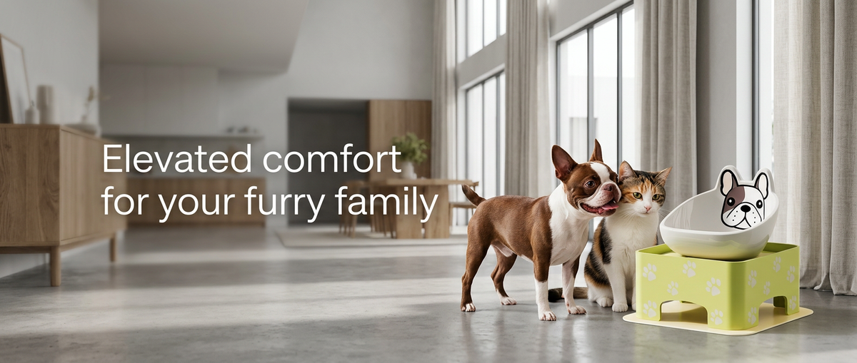 Raised ceramic pet feeder in modern home