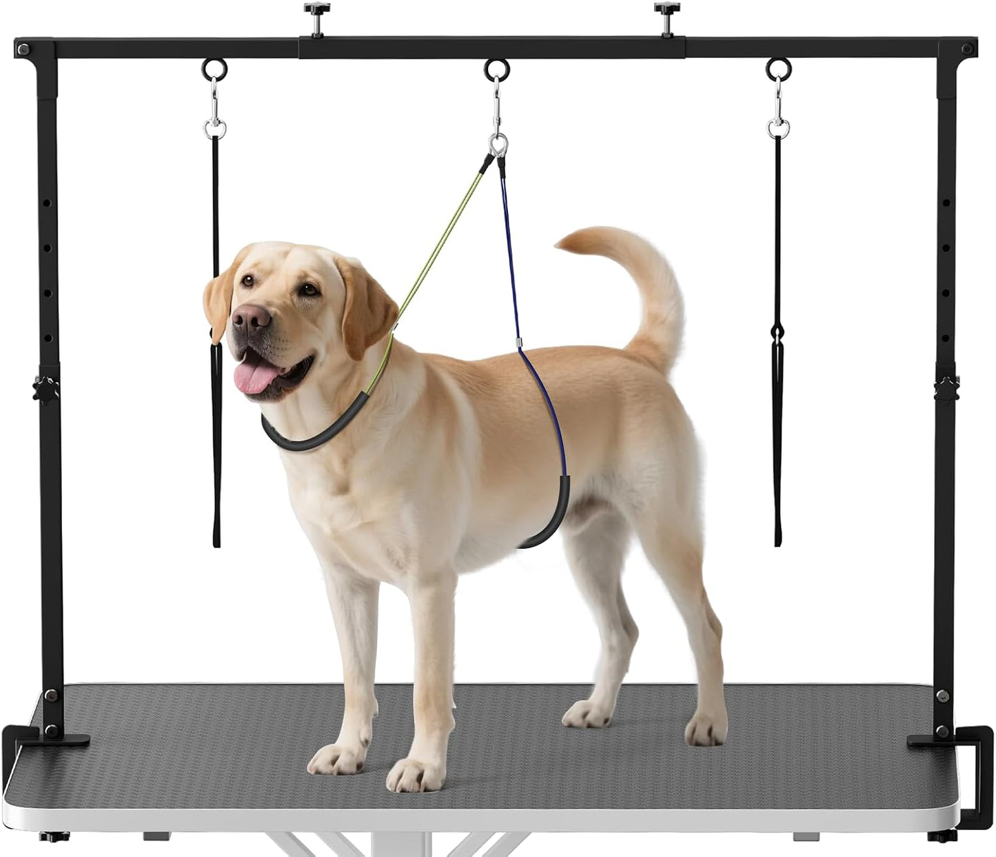 Adjustable dog grooming arm with clamp for large dogs