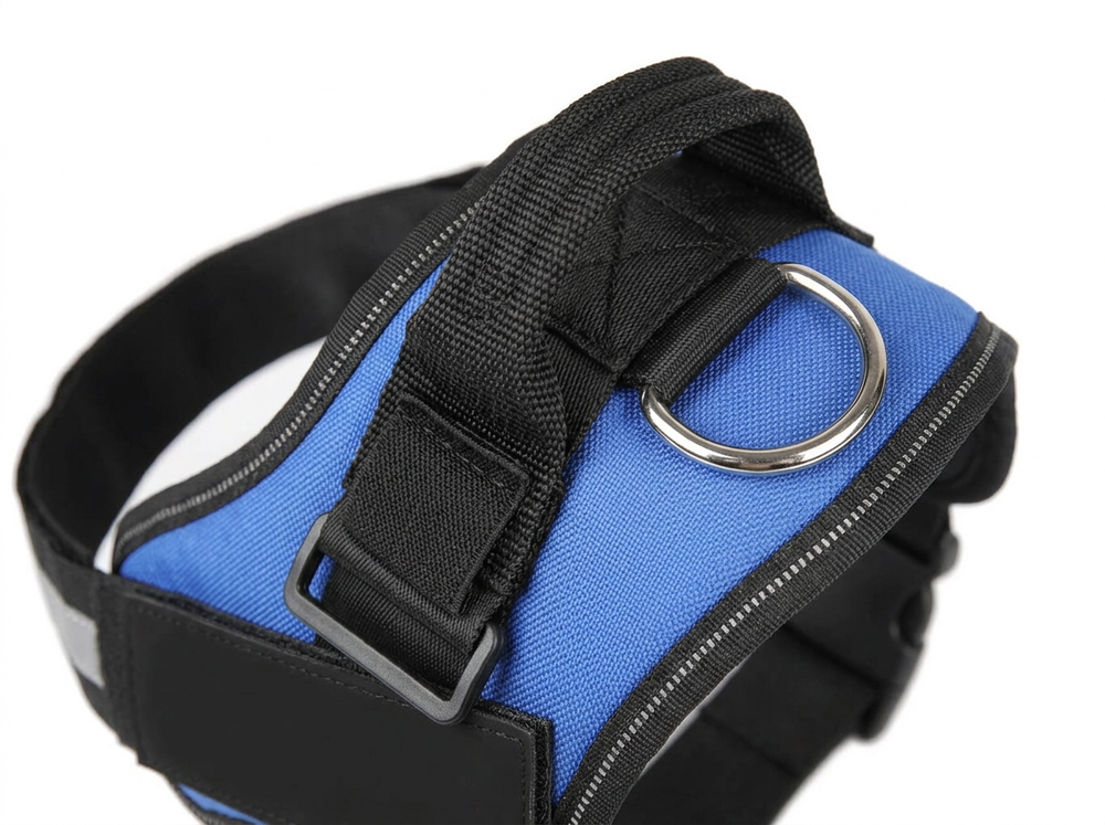 Adjustable straps on blue and black padded harness for medium large dogs