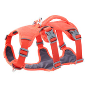 Adjustable reflective dog harness suitable for small and medium dog breeds