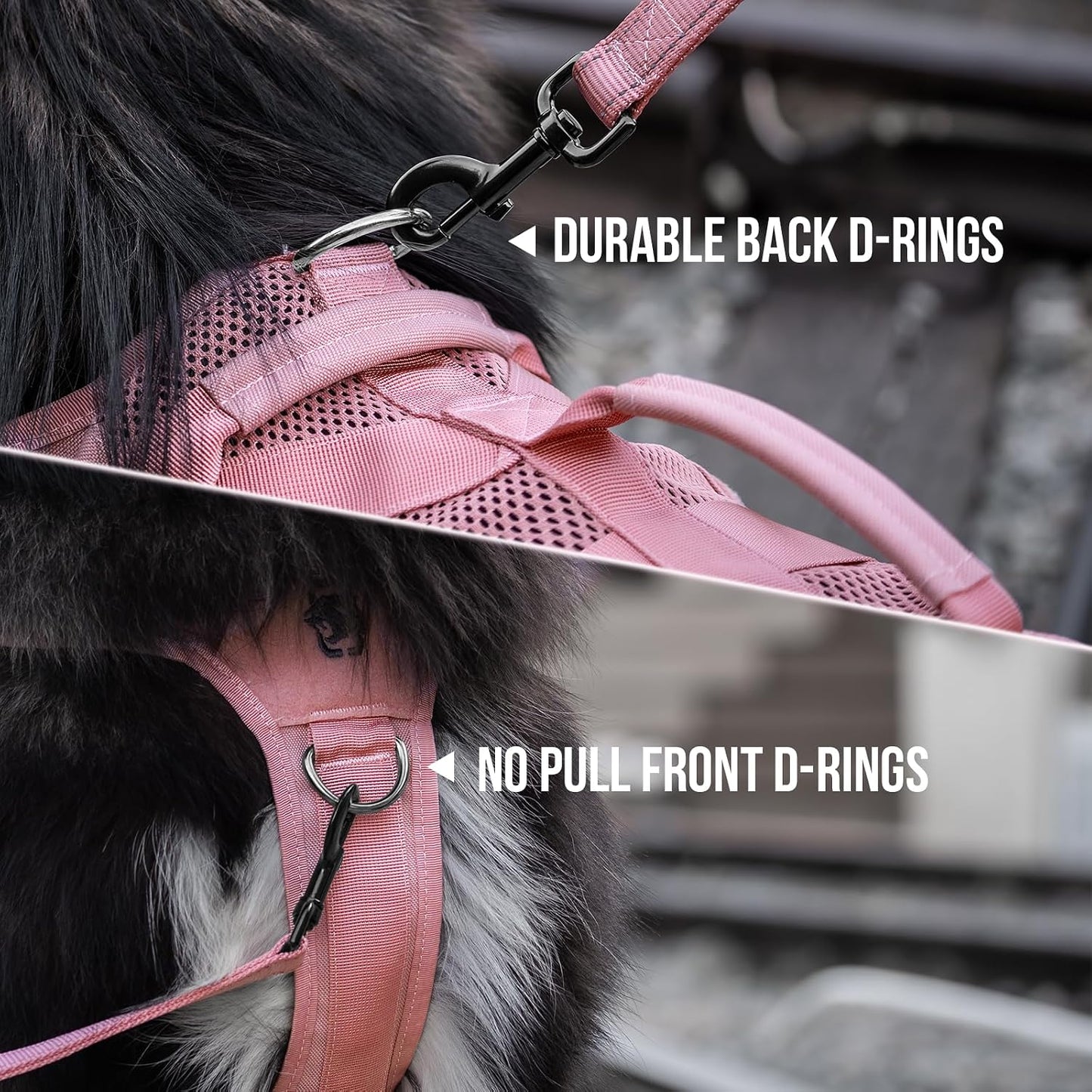 Adjustable Molle dog harness for small breeds and outdoor training