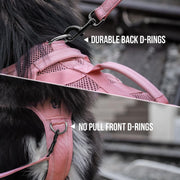 Adjustable Molle dog harness for small breeds and outdoor training