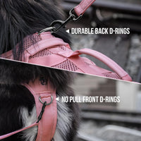 Adjustable Molle dog harness for small breeds and outdoor training
