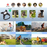 Dog bark control collar with adjustable sensitivity settings