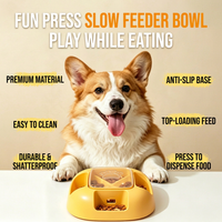 Anti-gulping dog bowl for puppies and fast-eating dogs