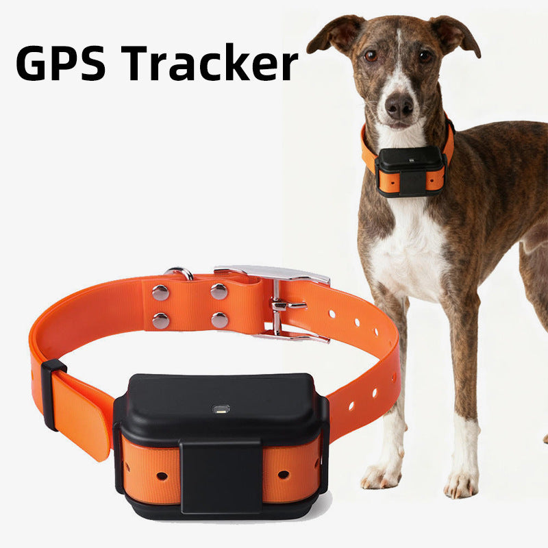 Anti-lost pet GPS locator for monitoring a dog's location remotely