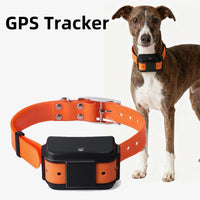 Anti-lost pet GPS locator for monitoring a dog's location remotely