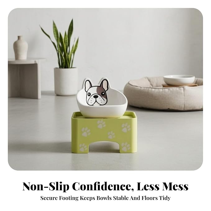 Anti-slip pet bowl with elevated feeding stand for indoor use