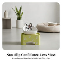 Anti-slip pet bowl with elevated feeding stand for indoor use