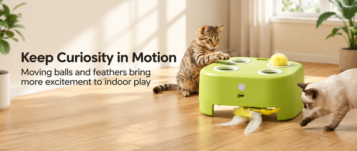 
USB rechargeable automatic interactive cat toy for indoor cats and kittens.