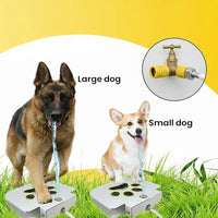 Automatic dog drinking fountain with pedal activated water flow