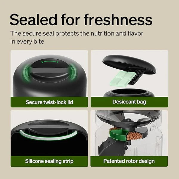 Automatic dog feeder with timed portions and large food capacity