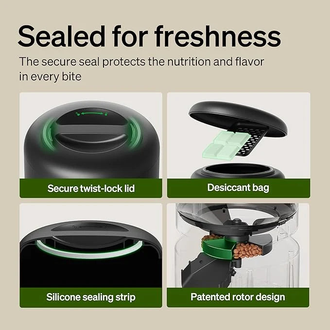 Automatic dog feeder with timed portions and large food capacity