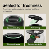 Automatic dog feeder with timed portions and large food capacity