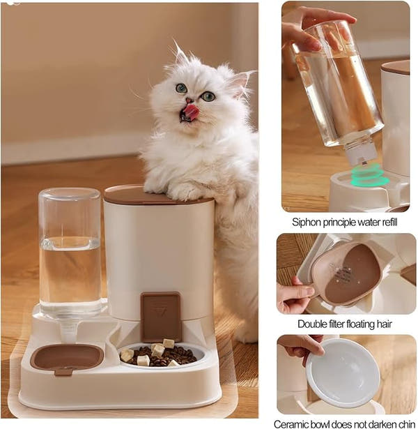 Automatic dog food feeder suitable for puppies and small to medium dogs