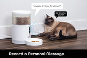 Automatic dry food feeder for cats with scheduled feeding