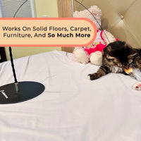 Cat feather toy with bell attachments