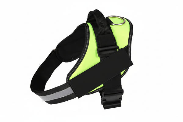 Large dog walking harness designed for improved control and comfort