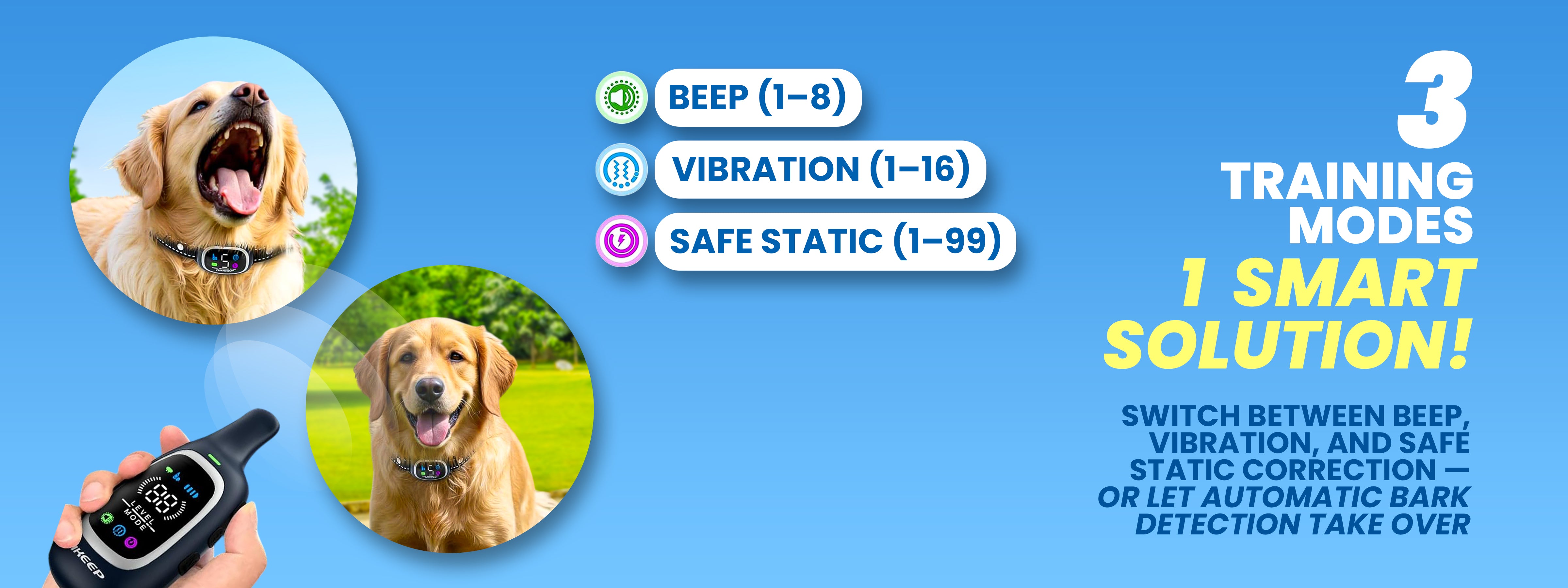 Desktop Banner