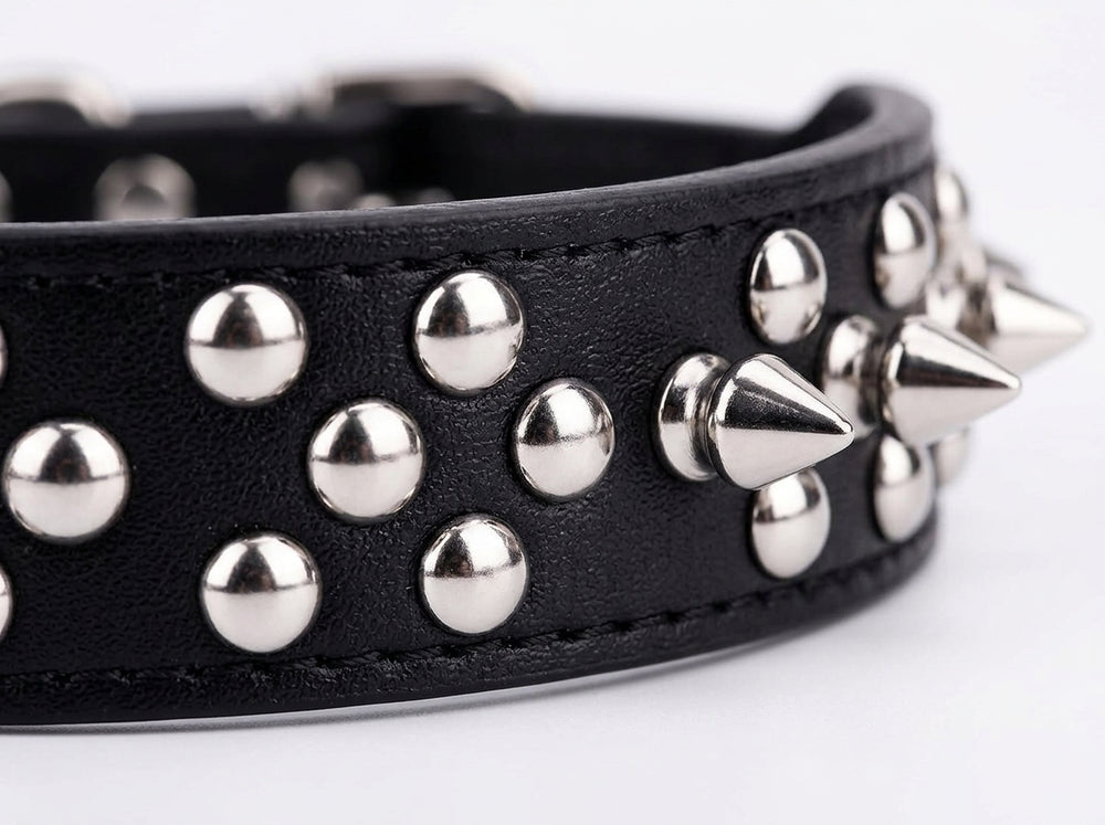 Polished silver round studs on a wide black dog collar