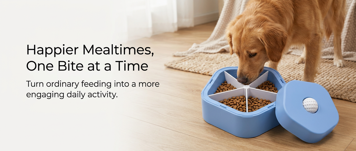 Happy dog eating from blue interactive slow feeder bowl in modern home