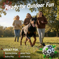 Dog boredom buster ball toy for active and playful dogs
