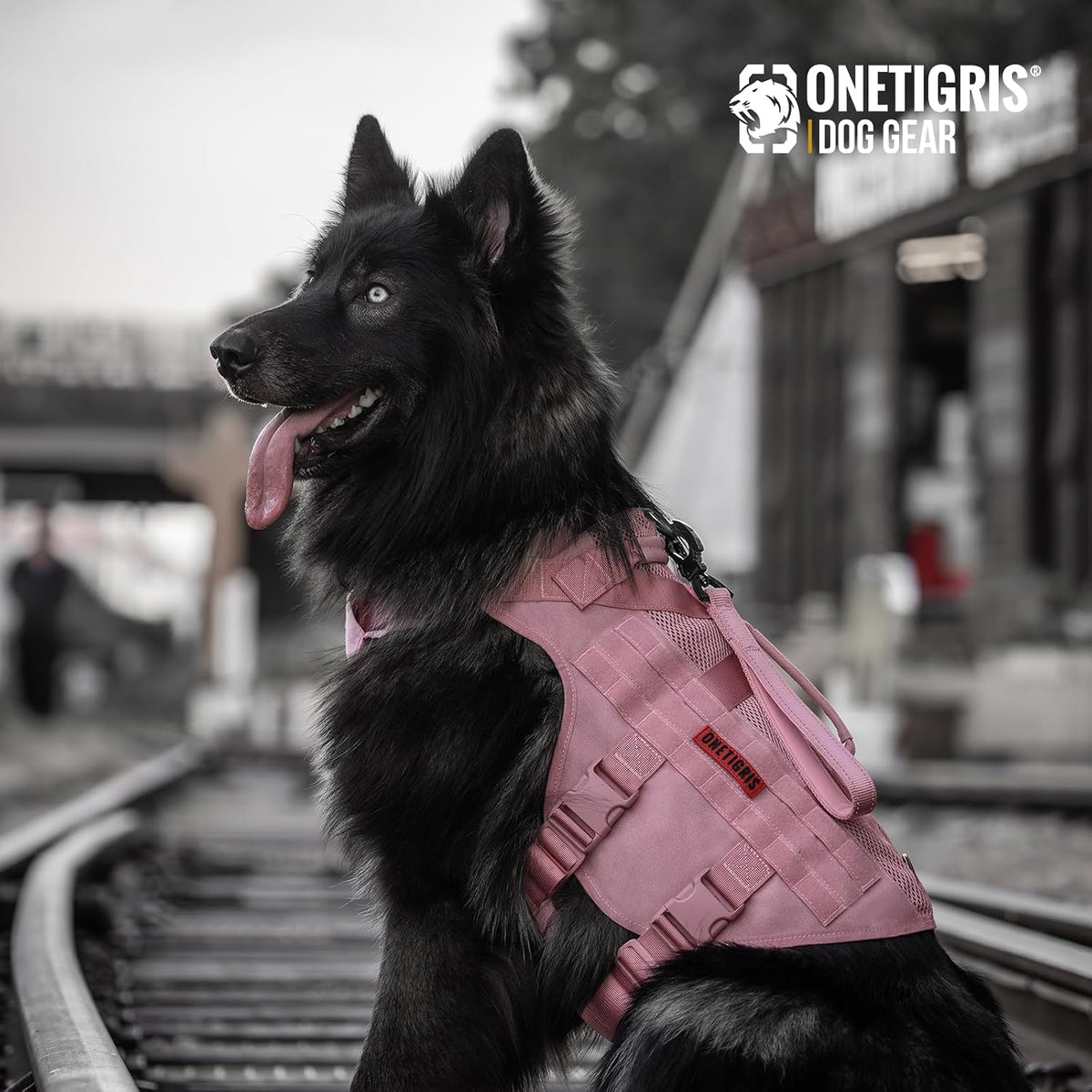 Breathable tactical vest harness for small dogs with adjustable fit