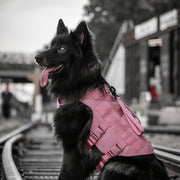 Breathable tactical vest harness for small dogs with adjustable fit