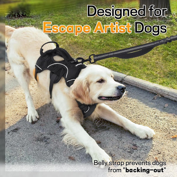Adjustable tactical harness designed for large dog breeds