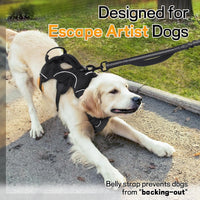Adjustable tactical harness designed for large dog breeds