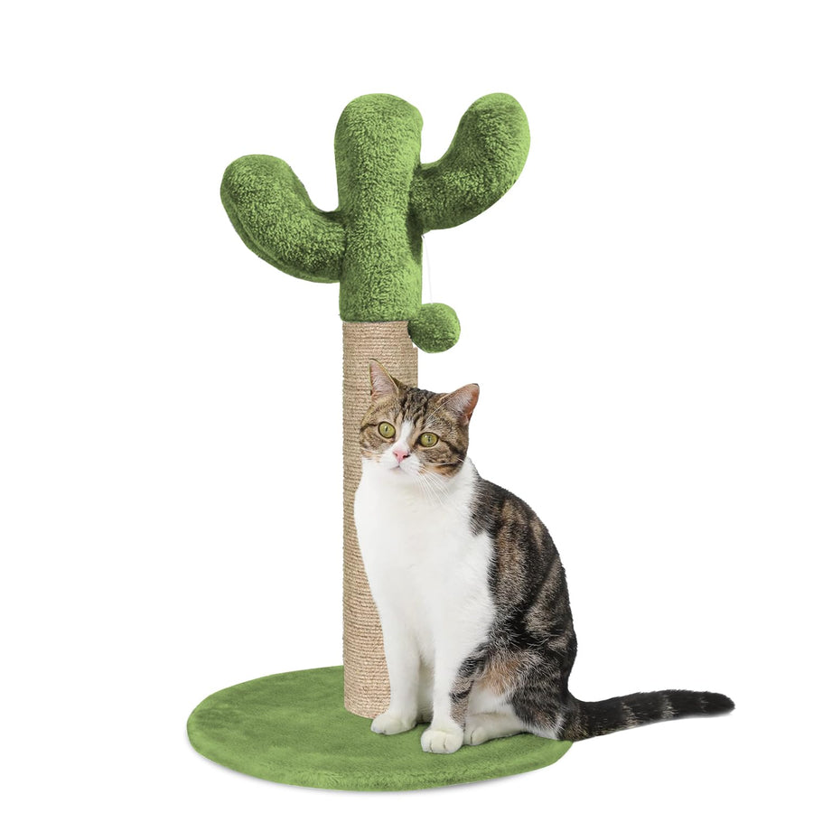 Cactus Cat Scratching Post – Sisal Cat Scratcher Climbing Post, Non-Shedding Interactive Scratch Tower & Indoor Exercise Toy for Cats and Kittens