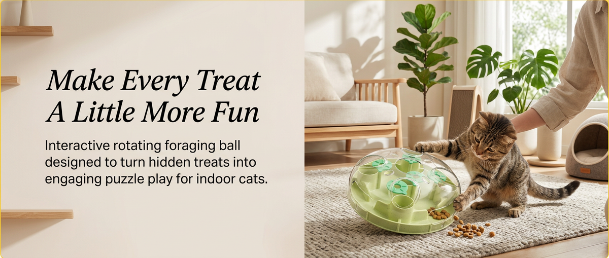Indoor cat playing with rotating food-hiding treat dispenser ball.