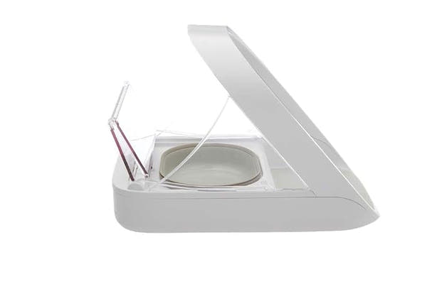 Stainless steel cat feeder bowl for serving wet or dry pet food