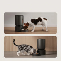 Cat food dispenser with automatic feeding and dry food storage